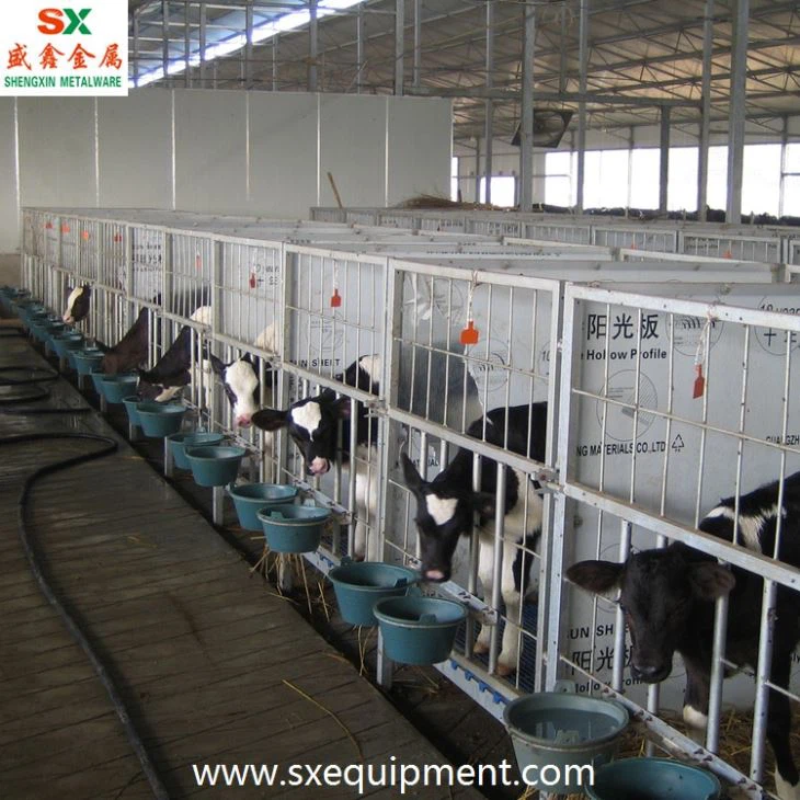 Cattle Farm Calf Hutch