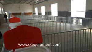 Ящик для свинга свиней